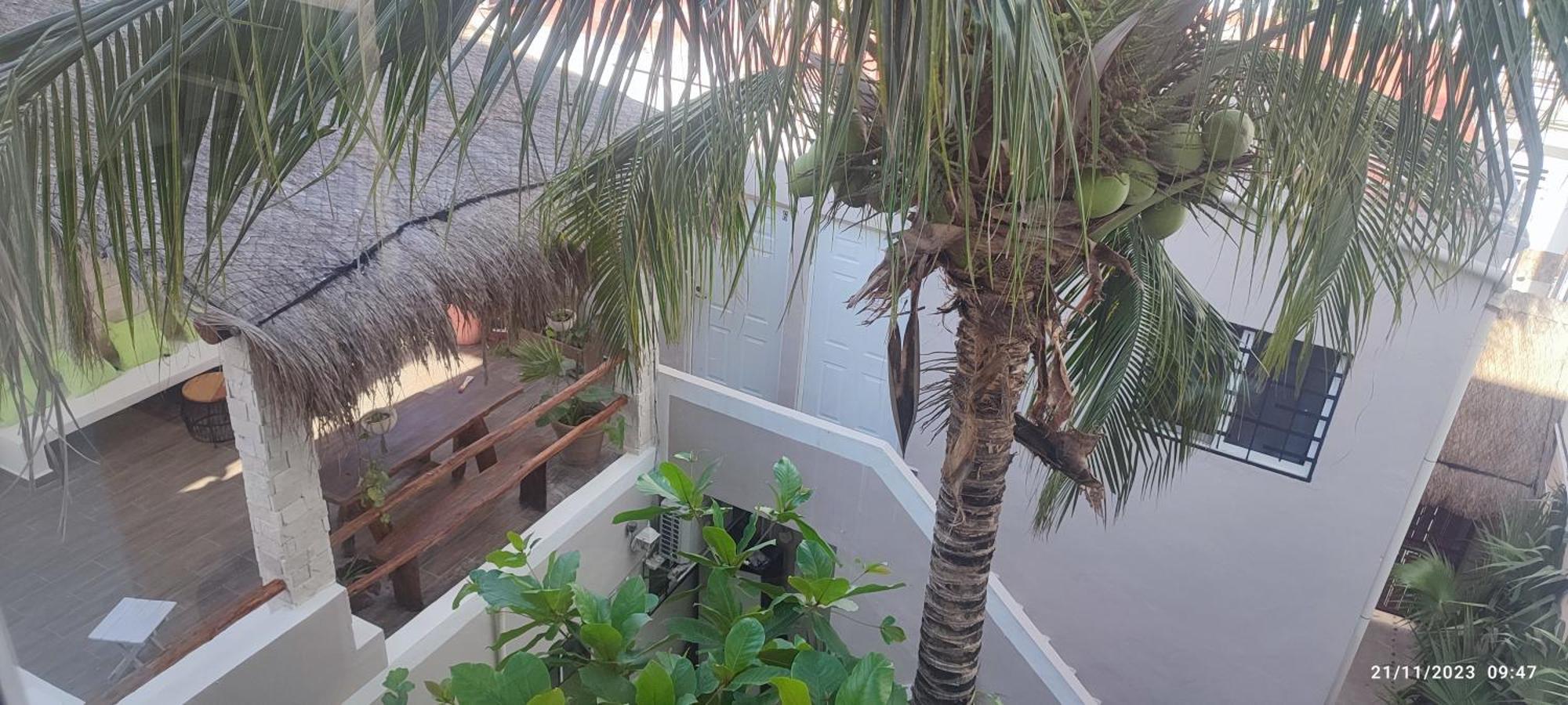 Kika Studios Playa del Carmen Ngoại thất bức ảnh