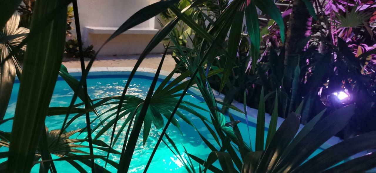 Kika Studios Playa del Carmen Ngoại thất bức ảnh