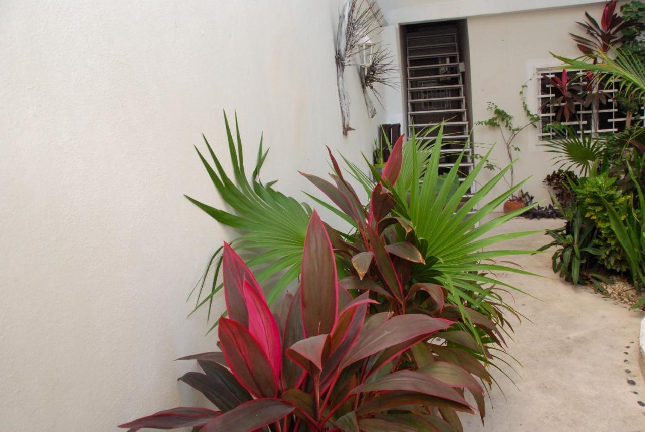 Kika Studios Playa del Carmen Ngoại thất bức ảnh